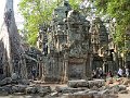 Angkor Ta Prohm P0176